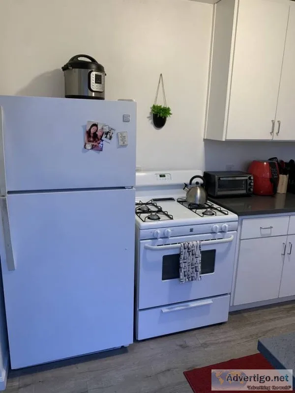 Nice two rooms available for rent