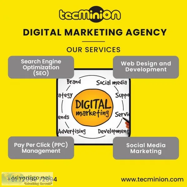Website development in chennai