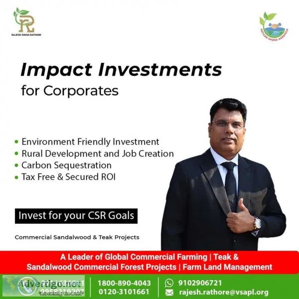 Make your future secure by investing in agroforestry | vatican s