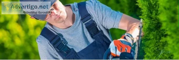 Expert gardeners oxford - full range of services