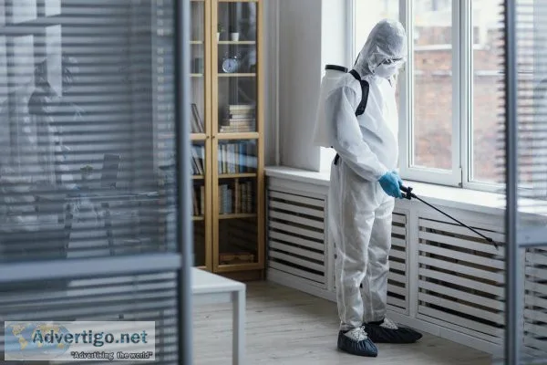Pest control service, noida