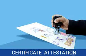 Certificate attestation services