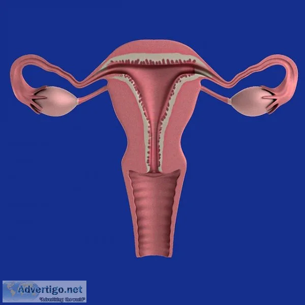 Understanding uterus removal surgery cost in kolkata