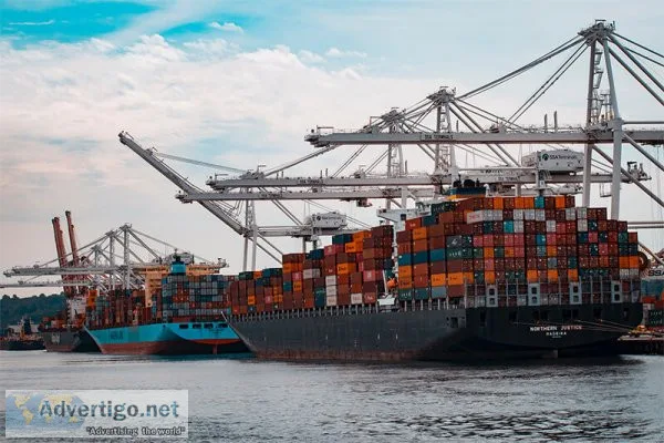 The importance of freight forwarding services - jeena india