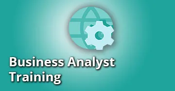 Business analyst