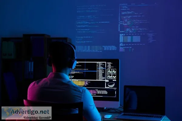 Professional web development company for you