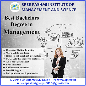 Best bachelors degree in management