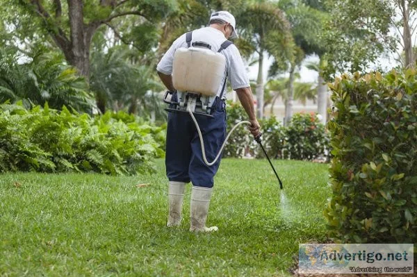 Pest control bacchus marsh