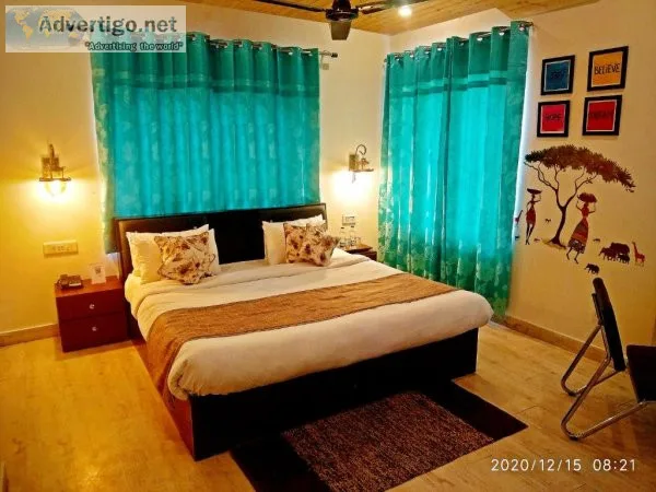 The benefits of staying in pet friendly hotels in dharamshala
