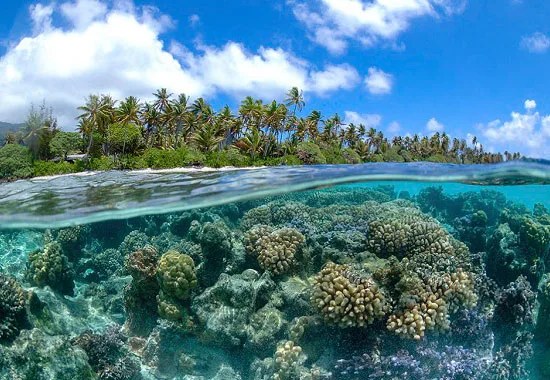 Honeymoon tour package at andaman