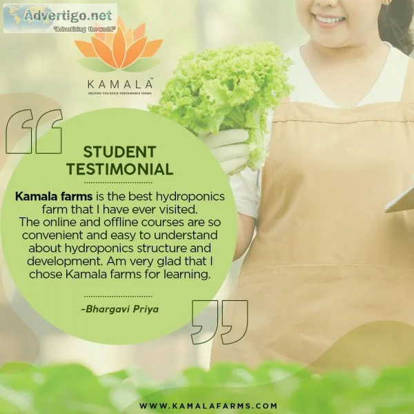 India s hydroponic farmers are growing fresh, pesticide-free pro
