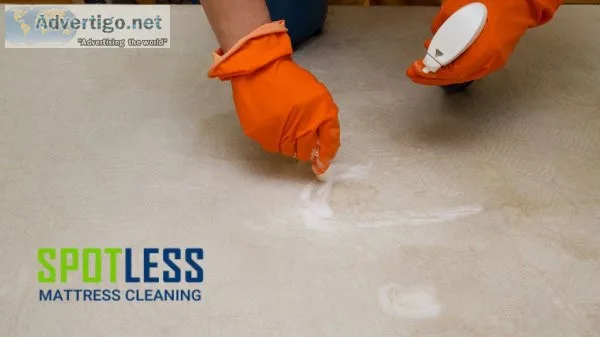 Mattress mould removal