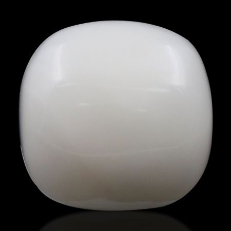 Shop natural white coral stone online at best price