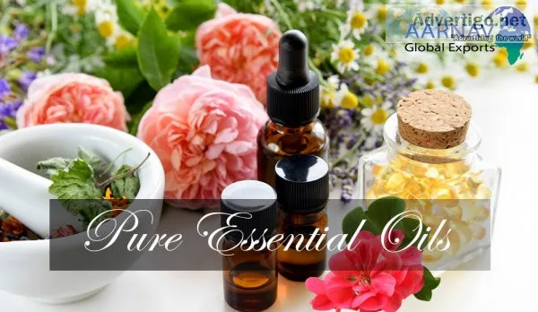 Have a look at essential oils wholesale supplier online