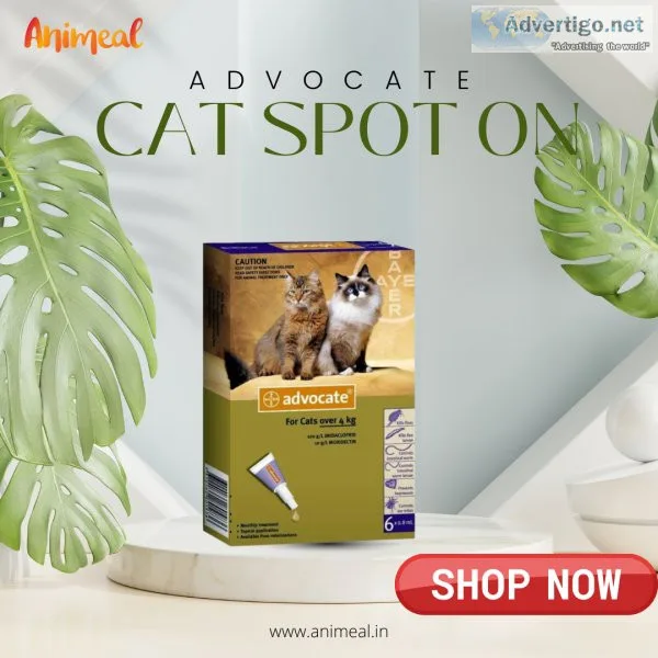 Advocate cat spot on