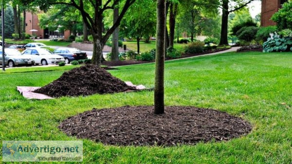 Best landscape supplies christchurch