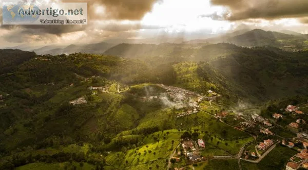 Coonoor estates