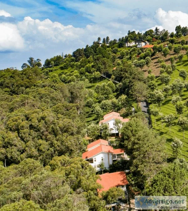 Coonoor estates