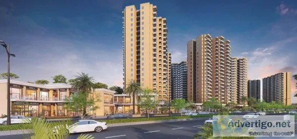 Real estate builders