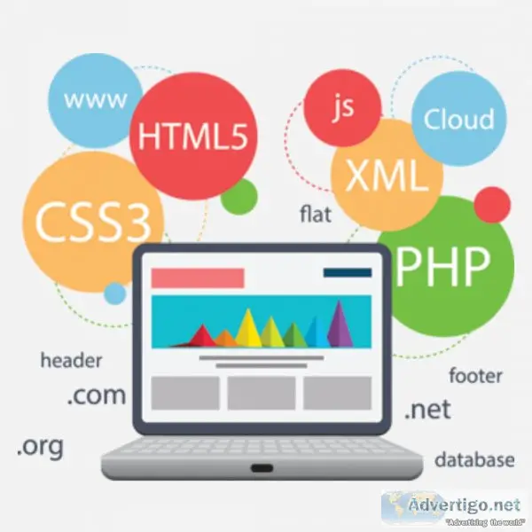 Web development services in kolkata