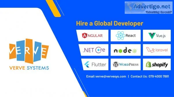 Best web development company in usa | verve systems