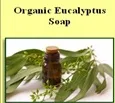 Organic soaps raw material in new thippasandra bangalore