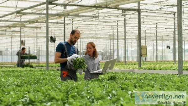 We set up hydroponic farm in chennai