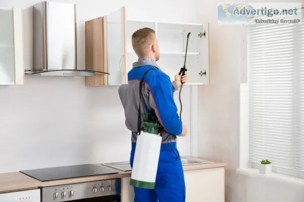 Best pest control melbourne