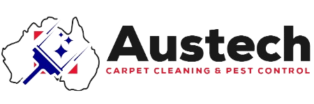 Carpet cleaning services
