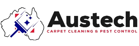 Carpet cleaning services