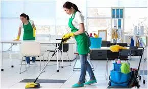 Commercial carpet cleaner canberra