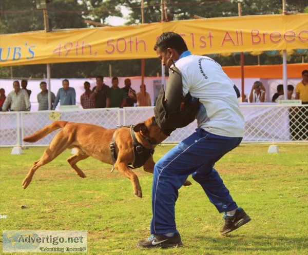 The leading k9 training center in secunderabad