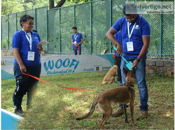 The leading k9 training center in secunderabad