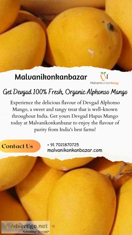 Purchase devgad 100% organic alphonso mango from malvani konkan