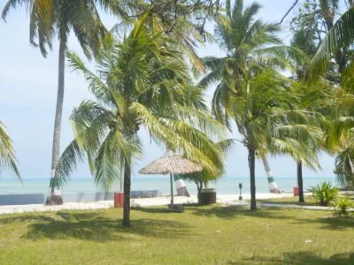  romantic escape to paradise: andaman nicobar honeymoon package 