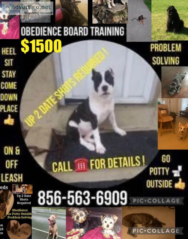 We control all breeds k9 control