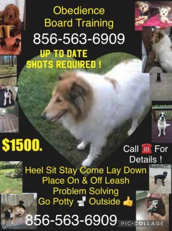 We control all breeds k9 control