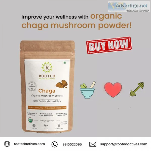 Improve your wellness with organic chaga mushroom powder