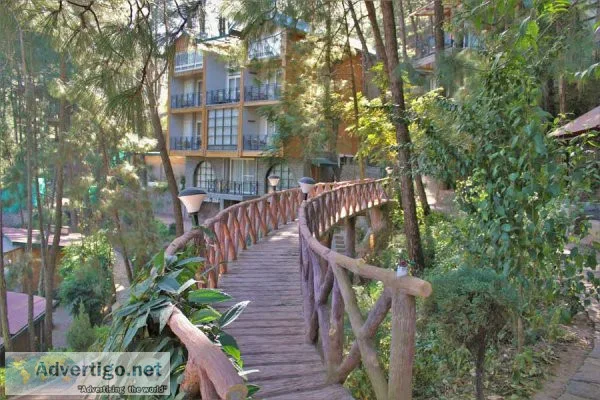 Best luxury resort & hotel in kasauli - kasauli hills resort