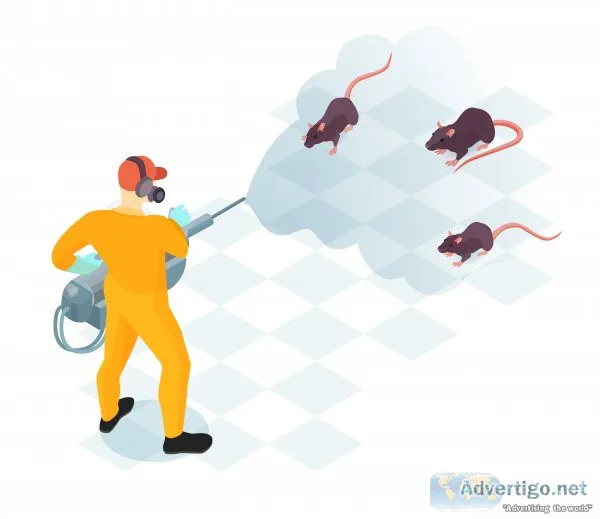 Best pest control services in delhi