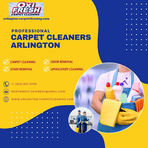 Professional carpet cleaners arlington