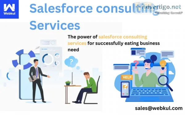 Salesforce and software consulting services