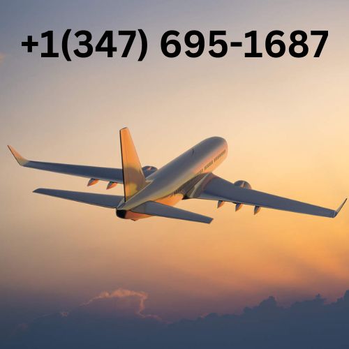 Reservation booking agent