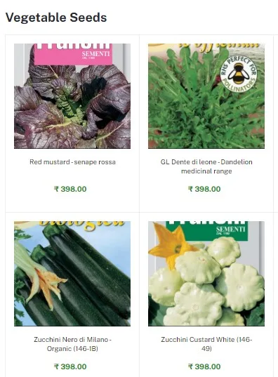 Vegetable seeds: discover the best vegetable seeds at bloombaske