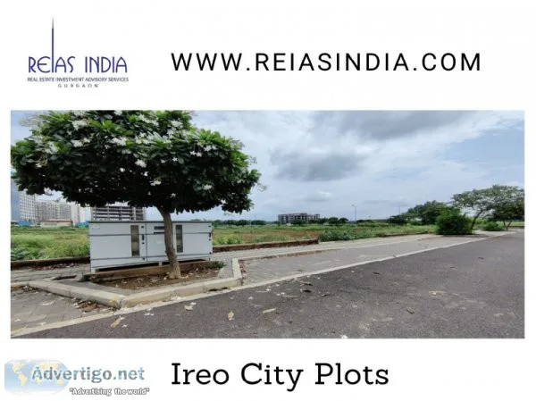 Reias india: ireo city plots sec 60 gurgaon