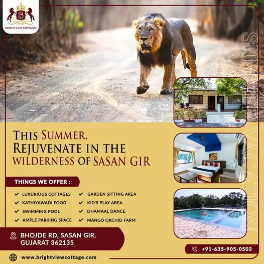 Best resorts in sasan gir - bright view cottage