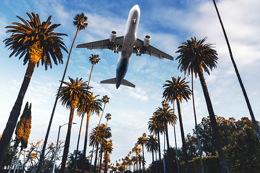 Best deals on flights