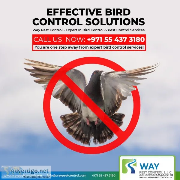 Effective bird control services in dubai - keep your property sa