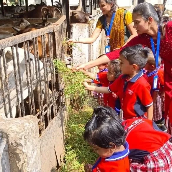 Best preschool in bhopal, best playschool in bhopal