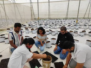 The benefits and risks of hydroponics investment in hyderabad: i